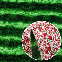 Watermelon Chunky Embellishments Double Sided Leather Sheet