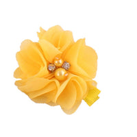 Grosgrain Lined Clips (10)