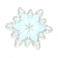 Snowflake Transparent Glitter