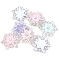 Snowflake Transparent Glitter