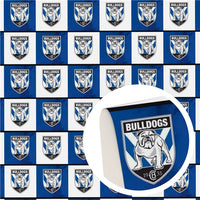 Rugby NEW Faux Leather Sheet
