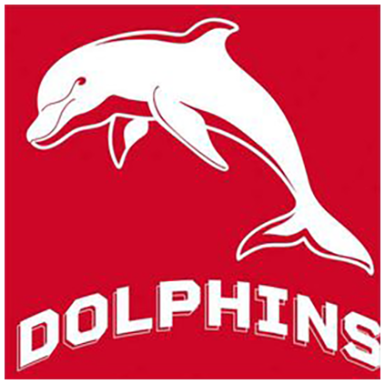 Dolphins Planar