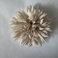 Clearance #41- Spikey Flowers x 5