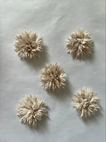 Clearance #41- Spikey Flowers x 5
