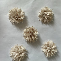 Clearance #41- Spikey Flowers x 5