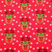 Reindeer on Red with Mixed Christmas Chunky Glitter Double Sided Sheet
