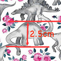 Dinosaurs & Roses Faux Leather Sheet