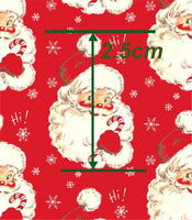 Christmas Santa Head on Red Faux Leather Sheet
