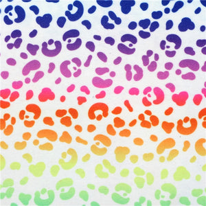 Rainbow Ombre with Rainbow Leopard Double Sided Sheet