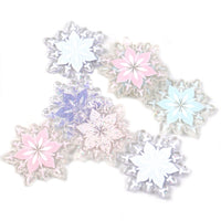 Snowflake Transparent Glitter
