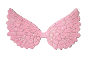Angel Glitter Wings Pink