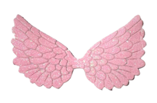 Angel Glitter Wings Pink